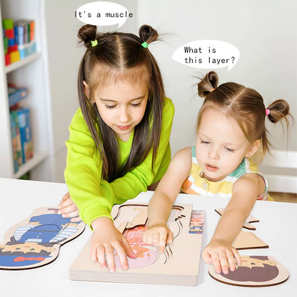 Explore the Wonders of the Human Body with Our Multi-Layer Wooden Puzzle - Perfect Montessori Learning Toy for Kids Aged 3-6!