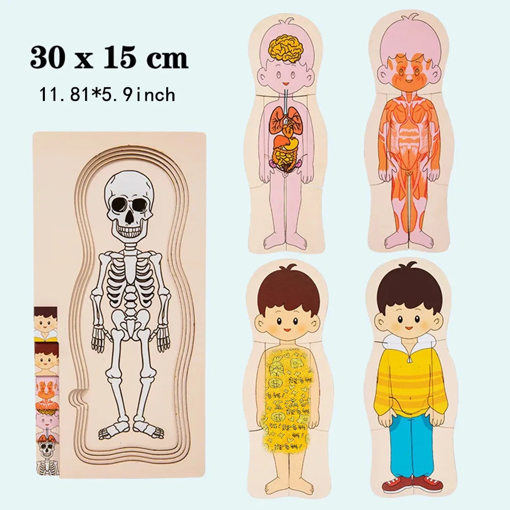 Explore the Wonders of the Human Body with Our Multi-Layer Wooden Puzzle - Perfect Montessori Learning Toy for Kids Aged 3-6!