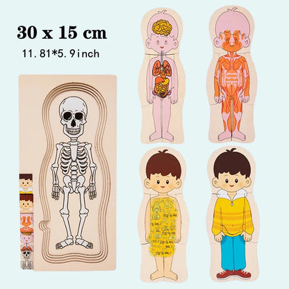 Explore the Wonders of the Human Body with Our Multi-Layer Wooden Puzzle - Perfect Montessori Learning Toy for Kids Aged 3-6!