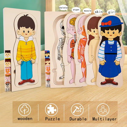 Explore the Wonders of the Human Body with Our Multi-Layer Wooden Puzzle - Perfect Montessori Learning Toy for Kids Aged 3-6!